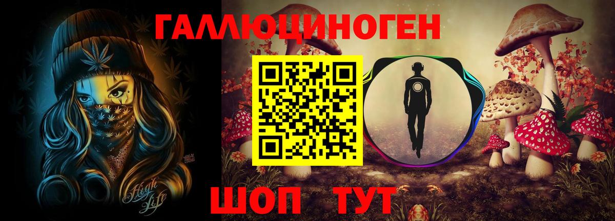 Галлюциногенные грибы MAGIC MUSHROOMS  Вход с VPN  Шелехов 